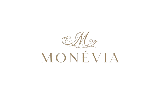 monevialogo-removebg-preview